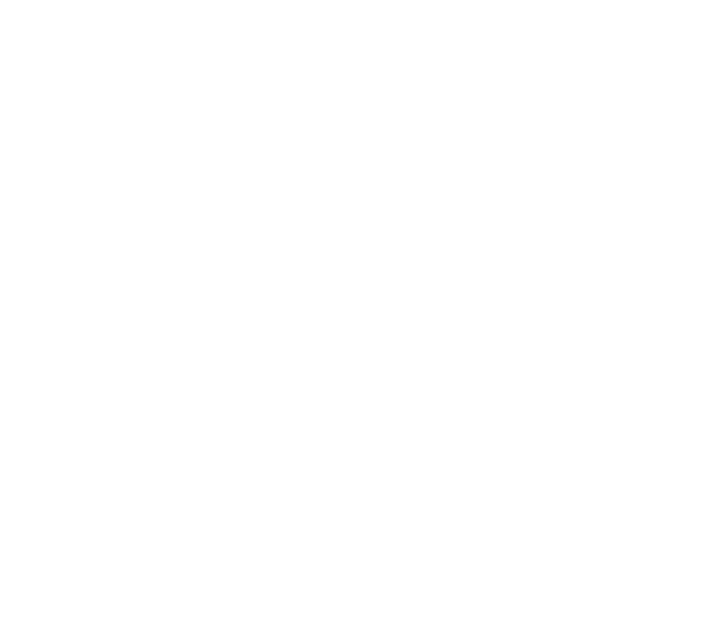 BauDir Logo